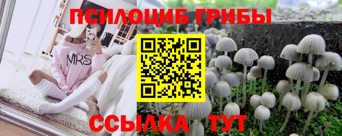 Екатеринбург  Галлюциногенные грибы прущие грибы  Вход с VPN 